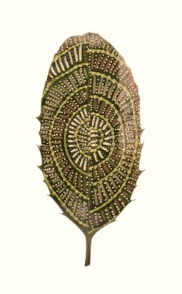Leaf Painting - Intricate Mandala - Digital Print