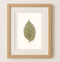 Leaf Painting - Miniature Leaf Patterns