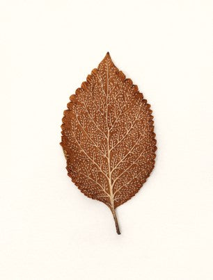 Leaf Painting - Natural Veins
