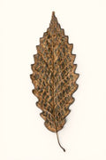 Leaf Painting - Autumnal Ornament - Digital Print