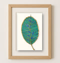 Rubber Leaf - Emerald Vines