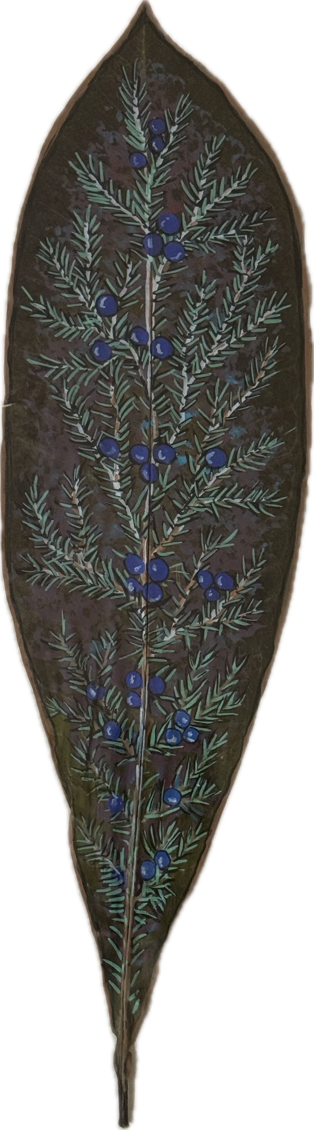 Frangipani Leaf - Juniper Trail
