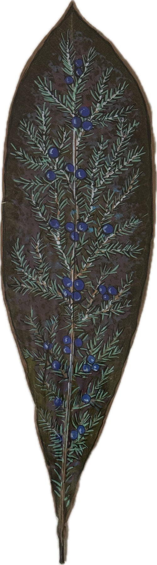 Frangipani Leaf - Juniper Trail