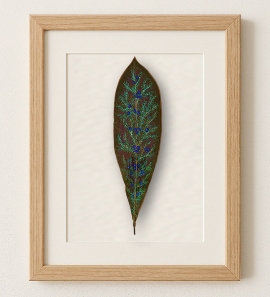 Frangipani Leaf - Juniper Trail