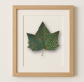 Big Maple Leaf Art - Verdant Pattern