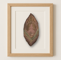 Seated Buddha on Canna Leaf